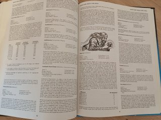 Advanced Dungeons & Dragons Players Handbook