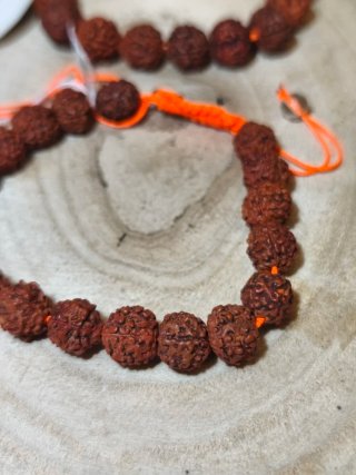 2 Pulseras Rudraksha Semilla Sagrada