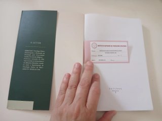 Entrevista clínica e psicoterapia de apoio
