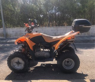 Quad , marca Goes 220