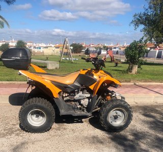 Quad , marca Goes 220