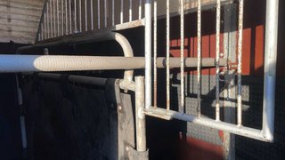 Remolque para caballos