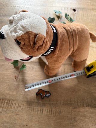 Peluche Bulldog MINI Original + Goma MINI regalo