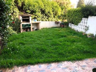 Gardener | Pruning, Brush Clearing, Lawn Care