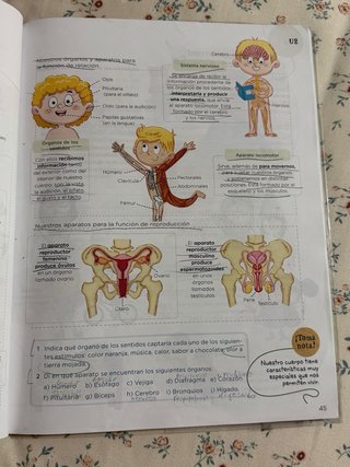 Ciencias de la Naturaleza, 4 Primaria