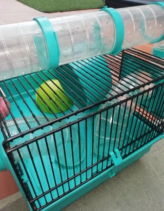 Jaula Hamster con Tubos y Accesorios