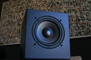 Subwoofer Polk Audio Negro