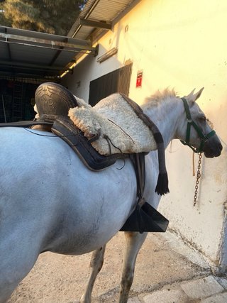 Montura Vaquera Completa