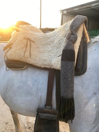 Montura Vaquera Completa