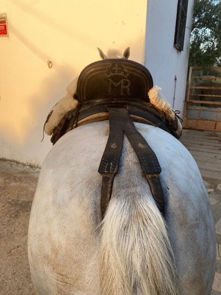 Montura Vaquera Completa