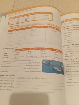Libro de inglés kids can 5 essential