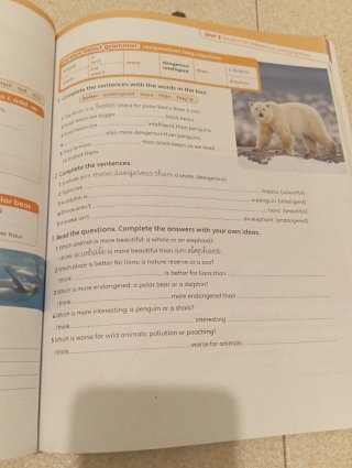 Libro de inglés kids can 5 essential