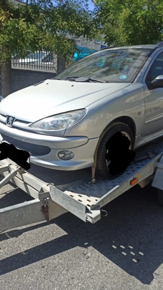Despiece Peugeot 206 (sin motor)