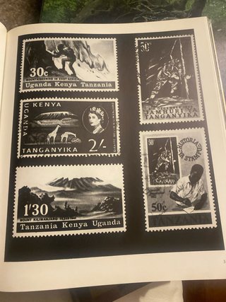 KILIMANJARO