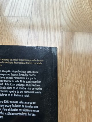 Las dos vidas del capitán de Mari Pau Domínguez