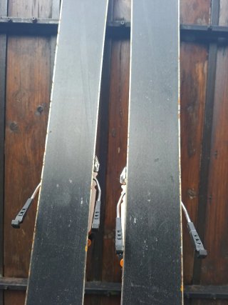 Sci Telemark Movement
