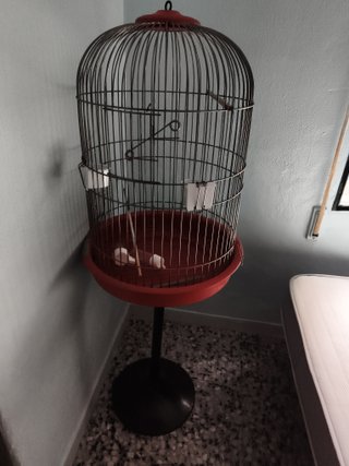 Jaula para loro con soporte