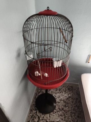 Jaula para loro con soporte