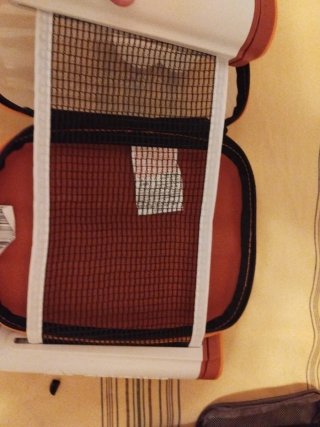 Raquetas ping pong