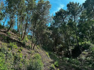 Solar en venta en Urbanitzacions en Lloret de Mar