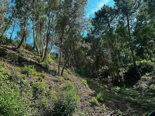 Solar en venta en Urbanitzacions en Lloret de Mar