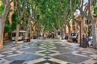 Piso en alquiler en La Seu - Cort - Monti-sión en Palma de Mallorca