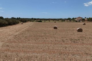 Terreno en venta en Campos