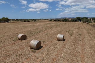 Terreno en venta en Campos