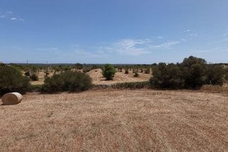 Terreno en venta en Campos