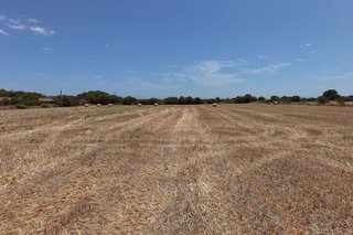 Terreno en venta en Campos