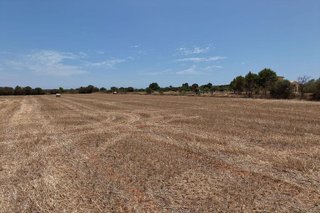 Terreno en venta en Campos
