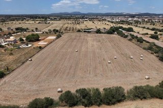Terreno en venta en Campos