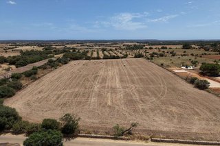 Terreno en venta en Campos