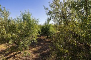 Terreno en venta en Dúrcal