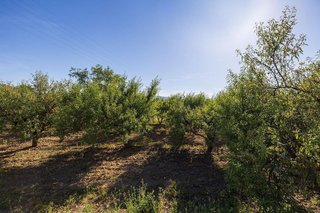 Terreno en venta en Dúrcal