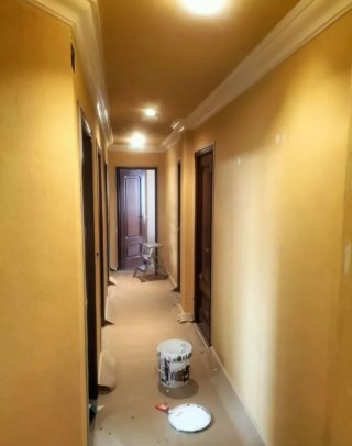 Pintor economico