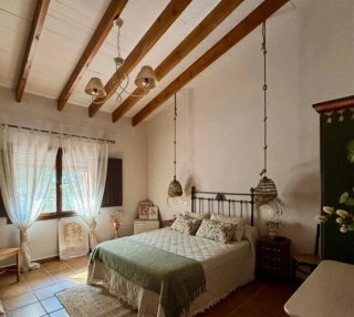 Pintor economico