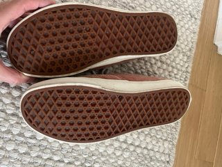 Zapatillas Vans Coral Suede