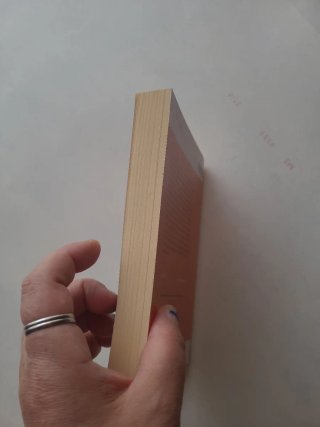 Libro 24: Punto de Fuga de Marc Cerasini
