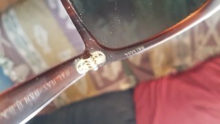 Gafas de sol Ray-Ban USA Marrones