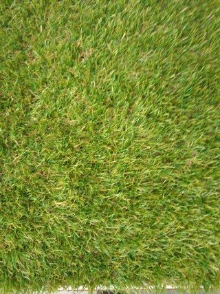 Césped Artificial Siempre Verde