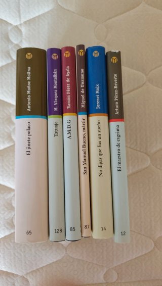 Lote 6 libros narrativa española