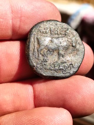Moneda Ibérica/Navarra Antigua