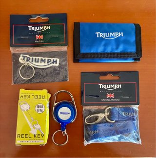 Lote llaveros Triumph