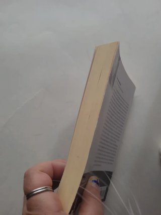 Libro Lorenzo Silva: La estrategia del agua