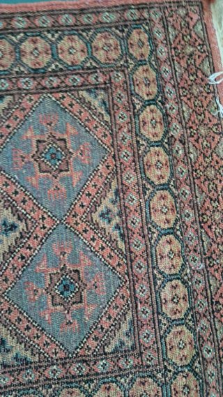 Tappeto Orientale Kashmir Pakistano
