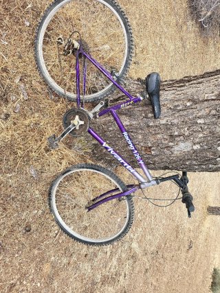 Bicicleta Montaña Morada Racing 126-Y