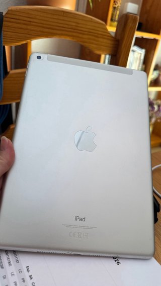 iPad 9ª Gen Plata