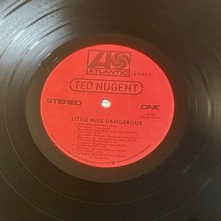 Ted Nugent - Little Miss Dangerous Vinilo