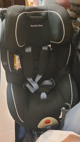 Cuna colecho + Bugaboo camaleón + silla coche